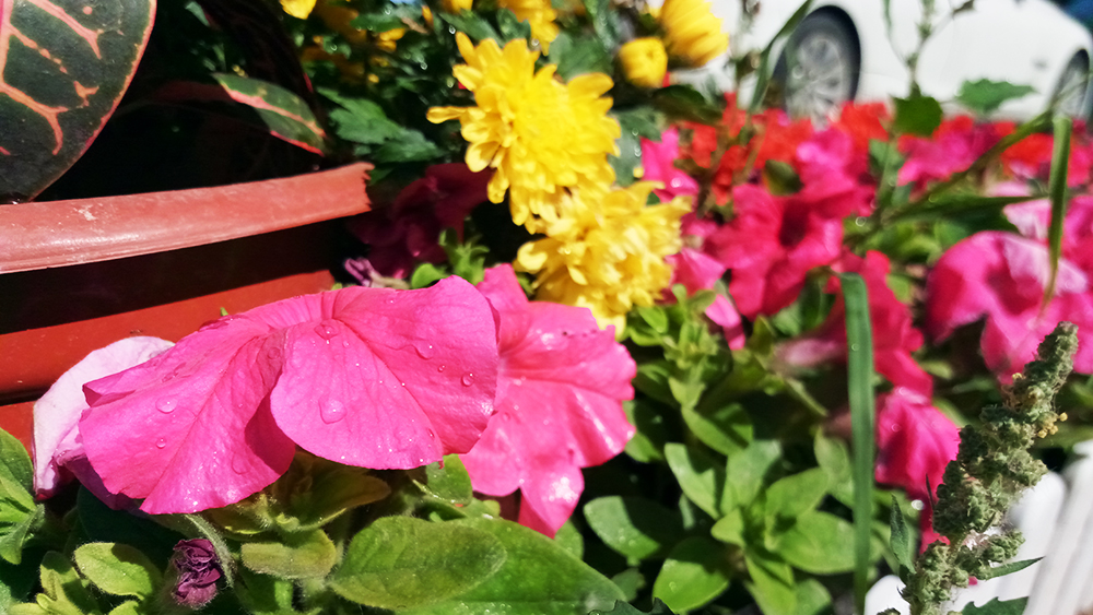 金立s8发布,金立旗舰s8手机评测