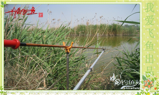 我爱飞鱼初探新钓点