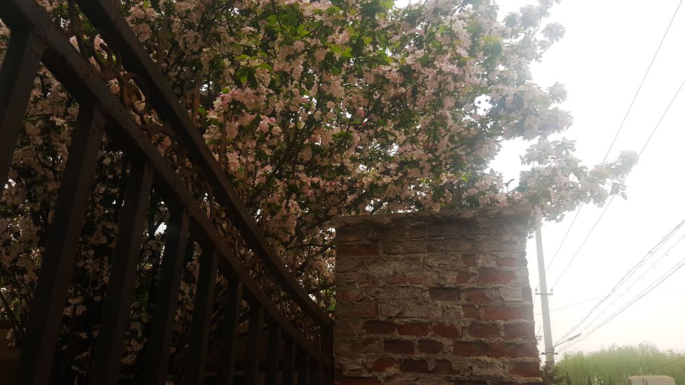 看乐亭小县城里的小市民,怎样装点生活