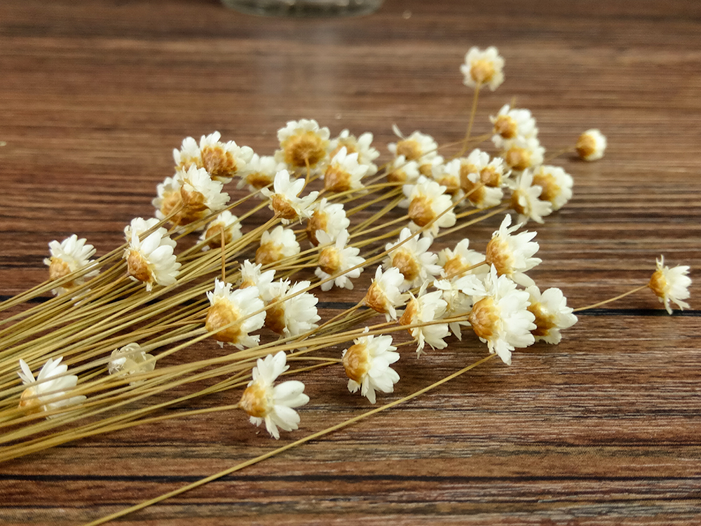 乐2评测,乐2pro深度测评