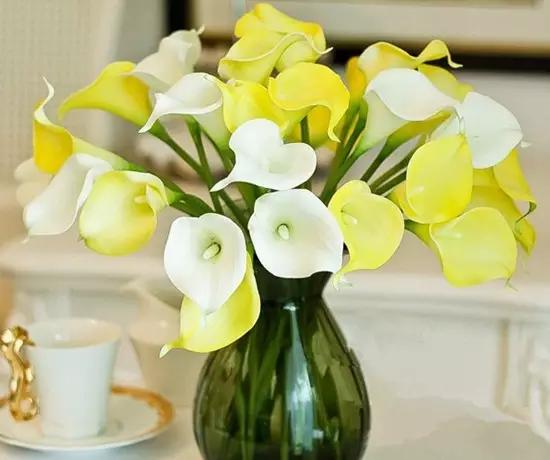 送花基本知识大全,送花常识和送花禁忌都有哪些