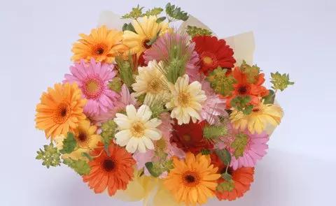 送花基本知识大全,送花常识和送花禁忌都有哪些