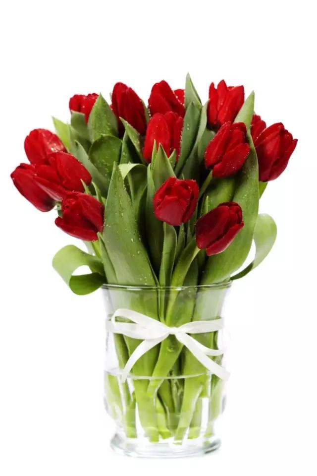 送花基本知识大全,送花常识和送花禁忌都有哪些