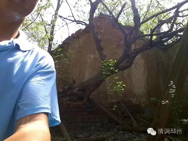 奔跑在路上看风景,奔跑着看风景视频