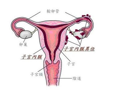 总怀不上孩子正常吗,总也怀不上孩子怎么办