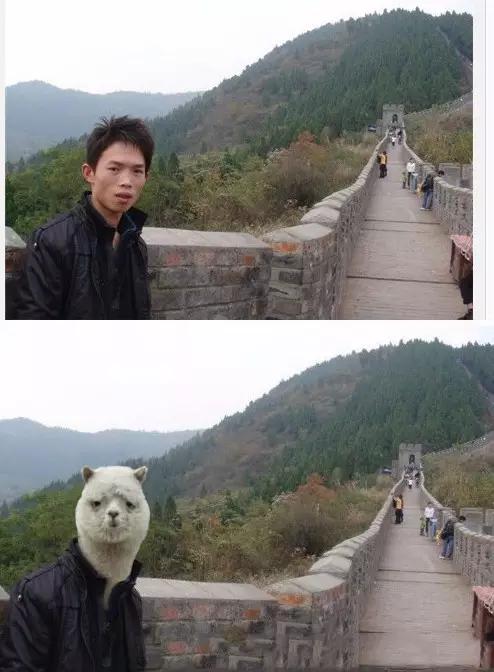 千万不要找大神p图了,千万别求大神的p图