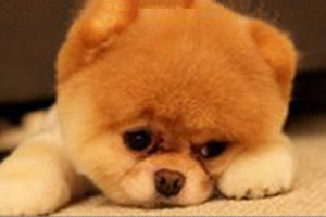 刷单降权30天可以做新链接么,淘宝刷单降权处罚通知么