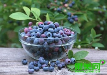 舌尖上的*疆新**:美丽黑色系——黑加仑葡萄你一定不知道这些