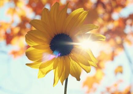 奇案再现存折里十万元离奇失踪,百元大钞从天而降是什么情况