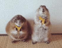 奇案再现存折里十万元离奇失踪,百元大钞从天而降是什么情况