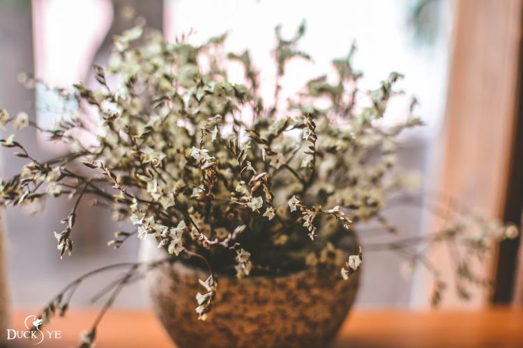 转角遇到爷茶,享一份慵懒的下午茶时光