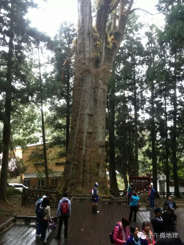 日本*国靖**神社用什么材料做的，你知道吗？