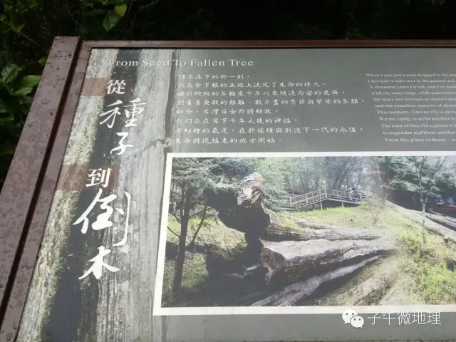 日本*国靖**神社用什么材料做的，你知道吗？