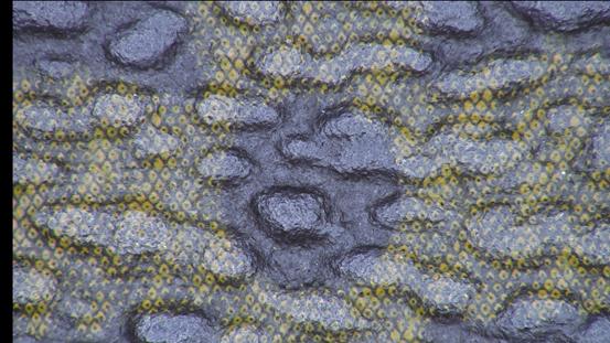 买到假的名牌包怎么办,花正品的钱买到假货