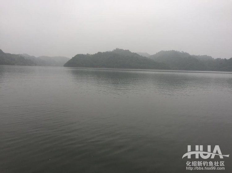 青龙湾附近野钓,株洲青龙湾野钓