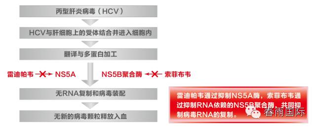 沉默的杀手丙肝,科普警惕沉默杀手丙肝