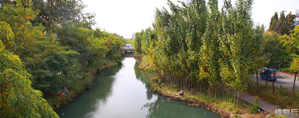 城市双修是什么,城市双修纪实