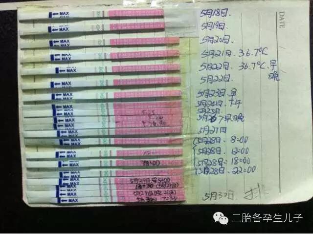 怎样用排卵试纸准确找排卵日,排卵试纸怎么找准排卵日