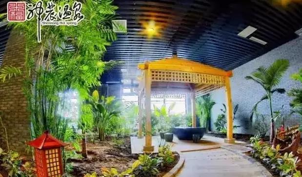 夏日乐悠最新视频,夏日乐悠游