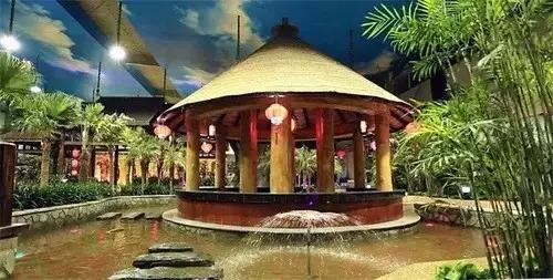 夏日乐悠最新视频,夏日乐悠游