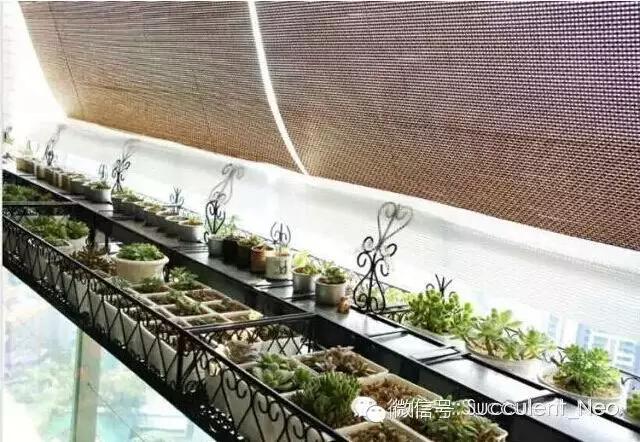 遮阳网的正确使用方法,遮阳网使用教学视频