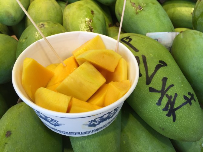 鼓浪屿自驾游全攻略,厦门鼓浪屿登岛全攻略