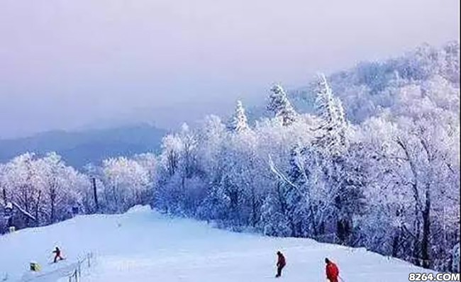 贵州十大滑雪场排名,中国滑雪场十大排名