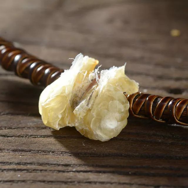 闲着也是闲着|你的青蛙还没回家?可能去了法国,然后变成了一盘儿菜