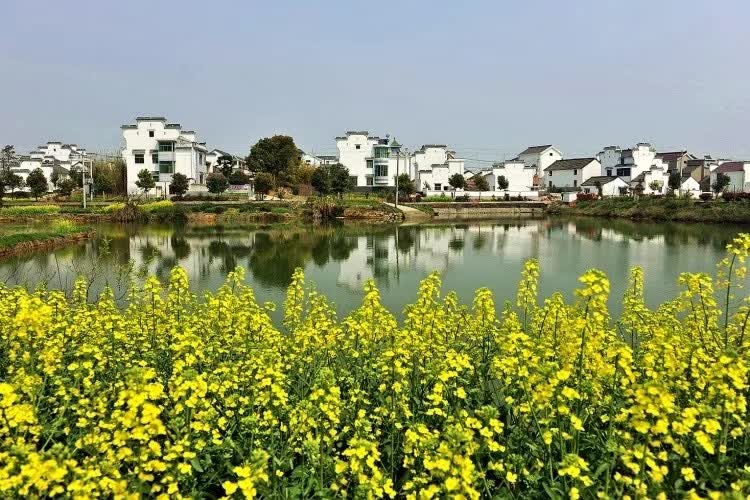 警惕：特色小镇建设应因地制宜量力而行，避免一哄而上造成烂尾工程