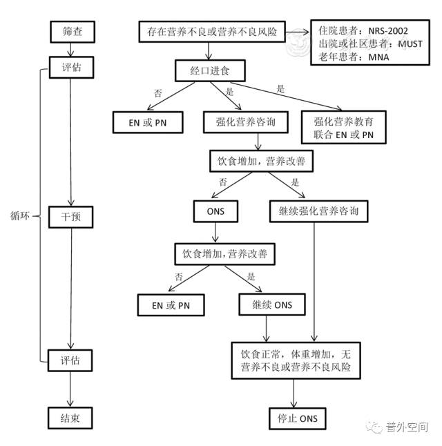 成人口服营养补充专家共识（下）