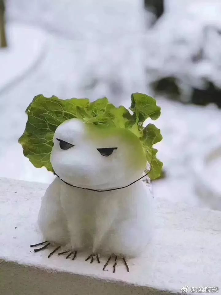 南京雪人照片,南京寻找雪人的地方