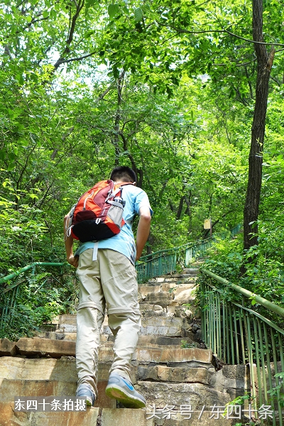平谷老象峰攻略,平谷老象峰旅游景点怎么样