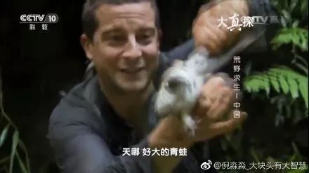 闲着也是闲着｜你的青蛙还没回家？可能去了法国，然后变成了一盘儿菜