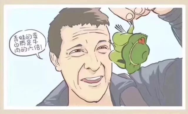 闲着也是闲着|你的青蛙还没回家?可能去了法国,然后变成了一盘儿菜