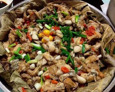 闲着也是闲着|你的青蛙还没回家?可能去了法国,然后变成了一盘儿菜