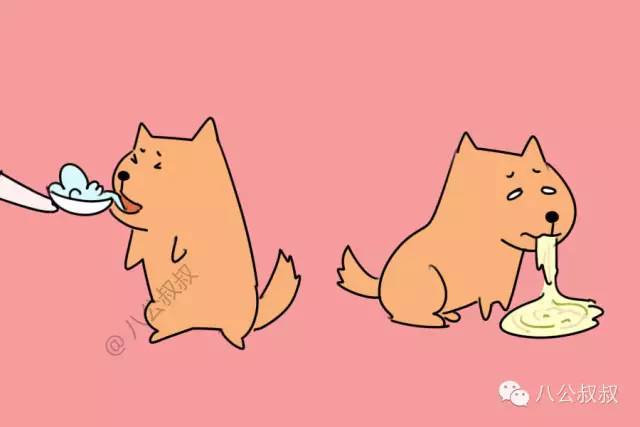 狗误食老鼠药怎么急救,狗狗误食了东西怎么急救