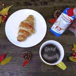 乐活家｜再有人种草早餐机有多炫，我就拿这张烤糊的三明治给她看