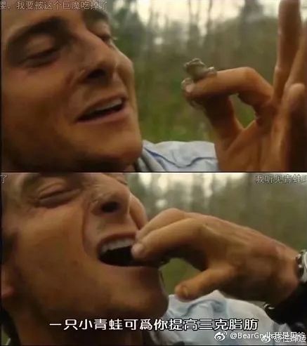 闲着也是闲着|你的青蛙还没回家?可能去了法国,然后变成了一盘儿菜