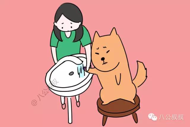 狗误食老鼠药怎么急救,狗狗误食了东西怎么急救