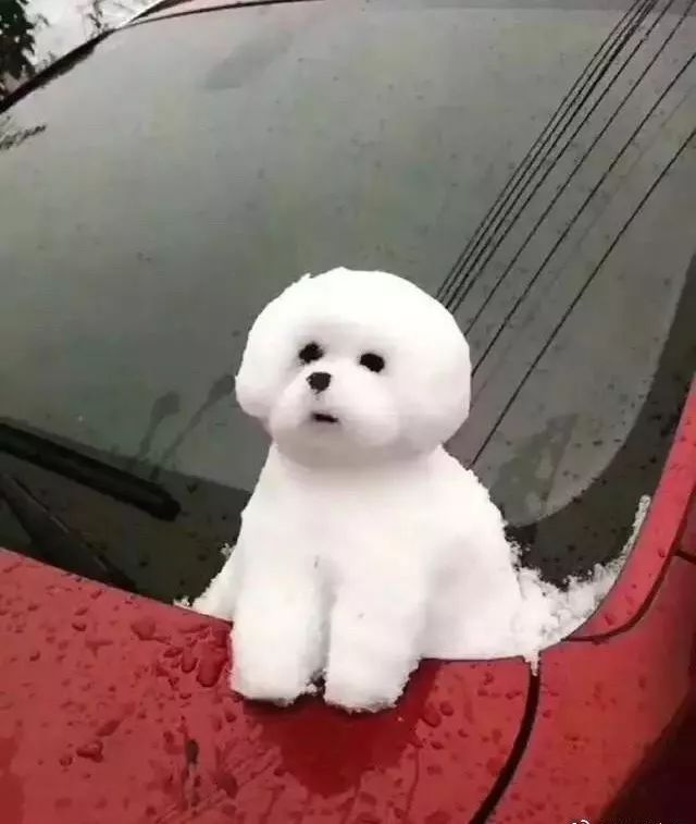 南京雪人照片,南京寻找雪人的地方