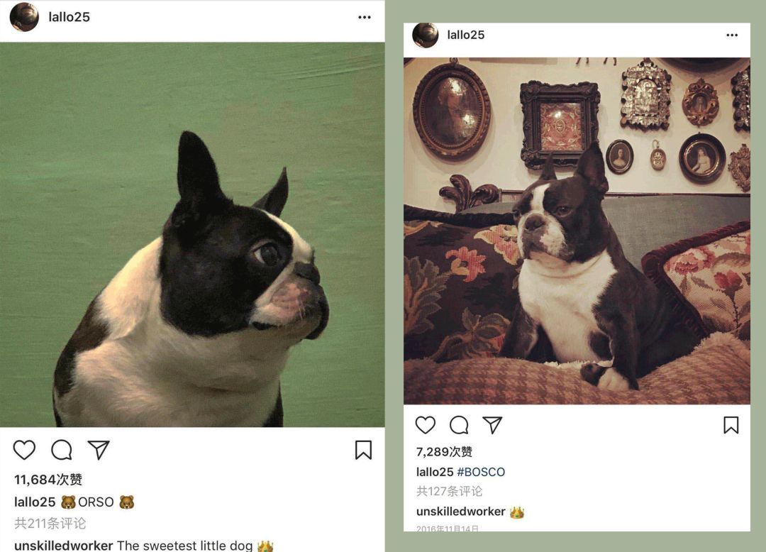 gucci搞怪风,gucci慢动作视频