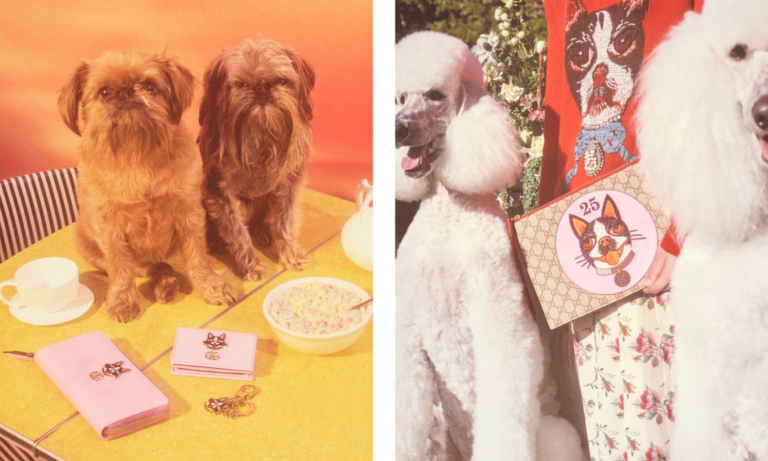 gucci搞怪风,gucci慢动作视频