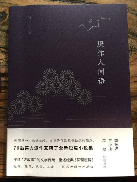 巨婴阿丁最新视频,巨婴阿丁完整视频