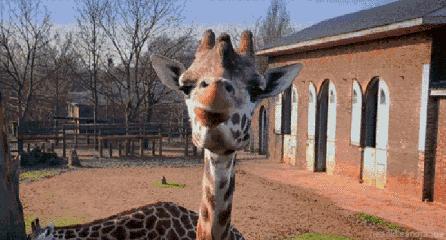 四种奇葩违法行为,奇葩罚款都有哪些