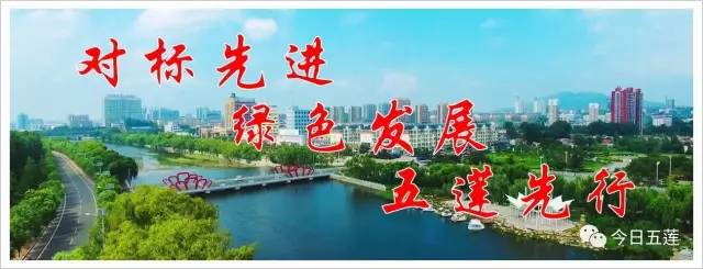 不懂就问闯黄灯会被罚款扣分吗,闯黄灯会被扣分吗怎样处理