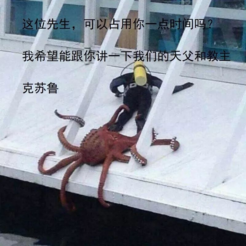 特斯拉vs爱之舟,特斯拉大战视频