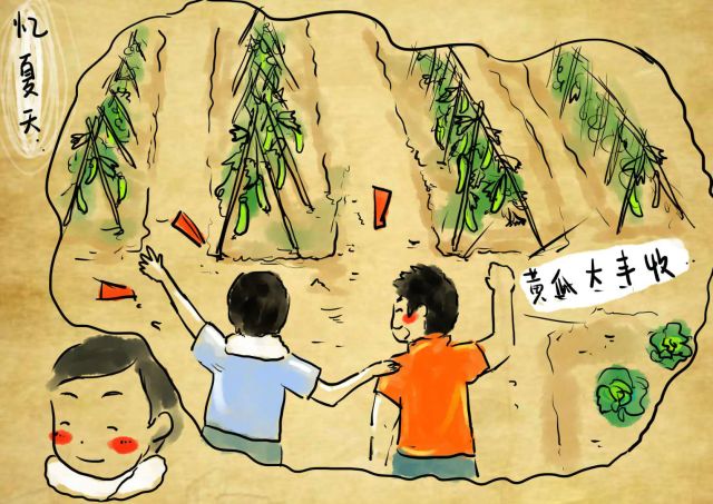 新农村日记|QQ农场主孙健:这儿有令人向往的田园生活