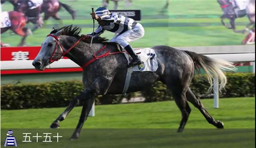 香港三冠赛首关1000万奖金来袭，参赛马匹名单公布