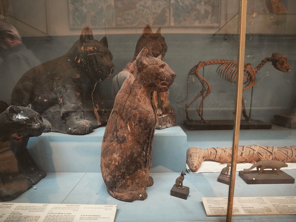 豆瓣日记:埃及历险记:与埃及人斗智斗勇的另类旅程