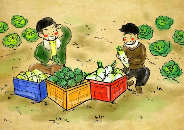 新农村日记|QQ农场主孙健:这儿有令人向往的田园生活